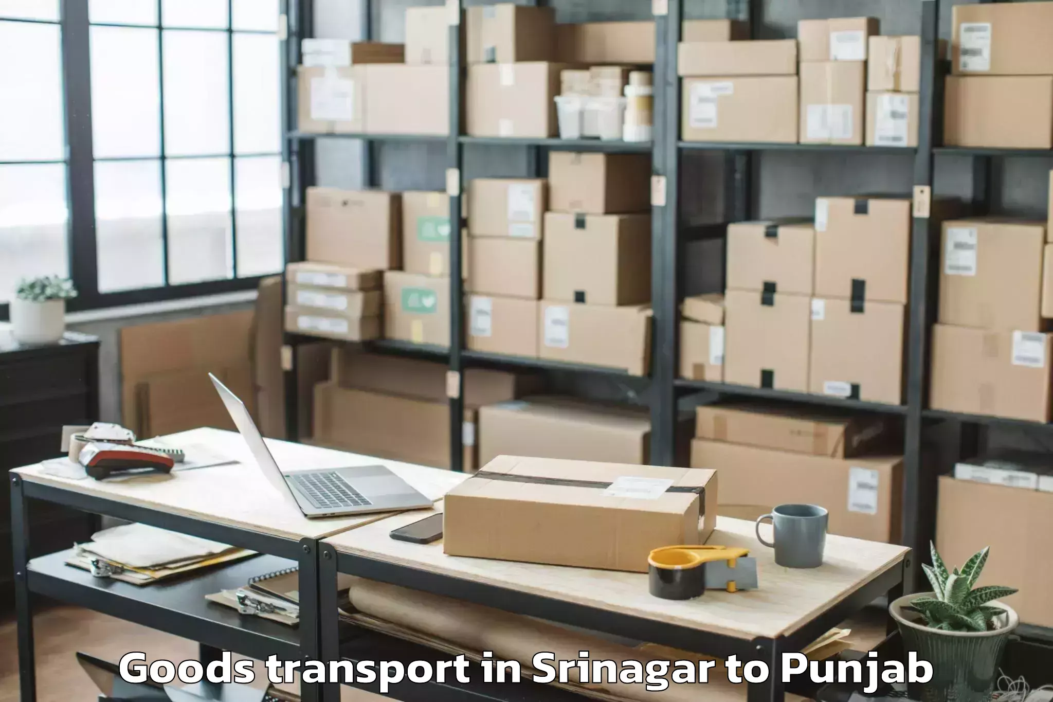 Book Srinagar to Katan Goods Transport Online